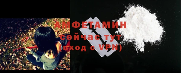 шишки Ветлуга