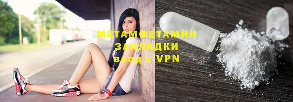прущие грибы Осинники