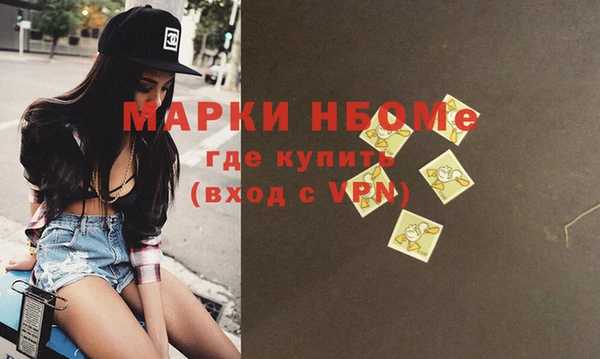 прущие грибы Осинники