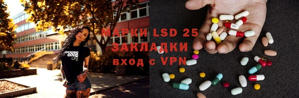 прущие грибы Осинники