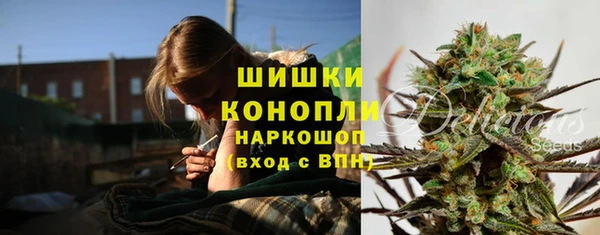 прущие грибы Осинники