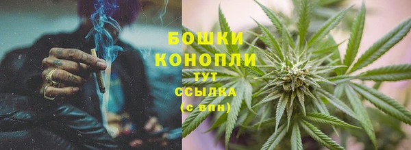 индика Остров