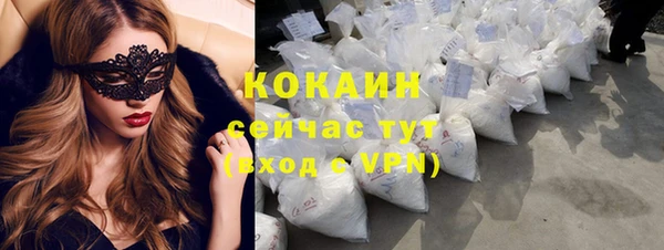 прущие грибы Осинники