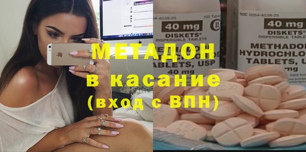 прущие грибы Осинники