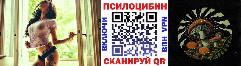 Псилоцибиновые грибы Psilocybine cubensis  KRAKEN зеркало  Фурманов 