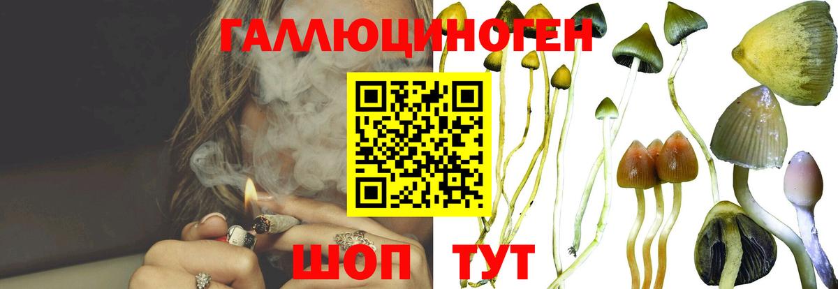 Псилоцибиновые грибы MAGIC MUSHROOMS Фурманов